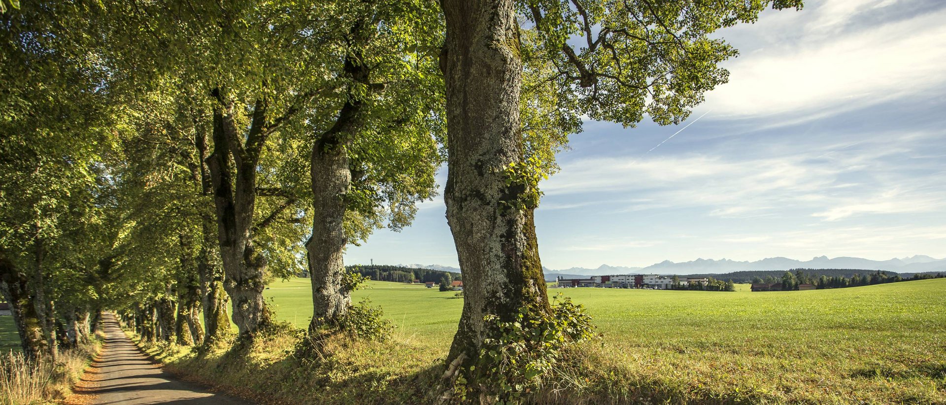 Hotel Das Weitblick Allgäu | Unsere Ausflugstipps Hotel Das Weitblick Allgäu | Unsere Ausflugstipps