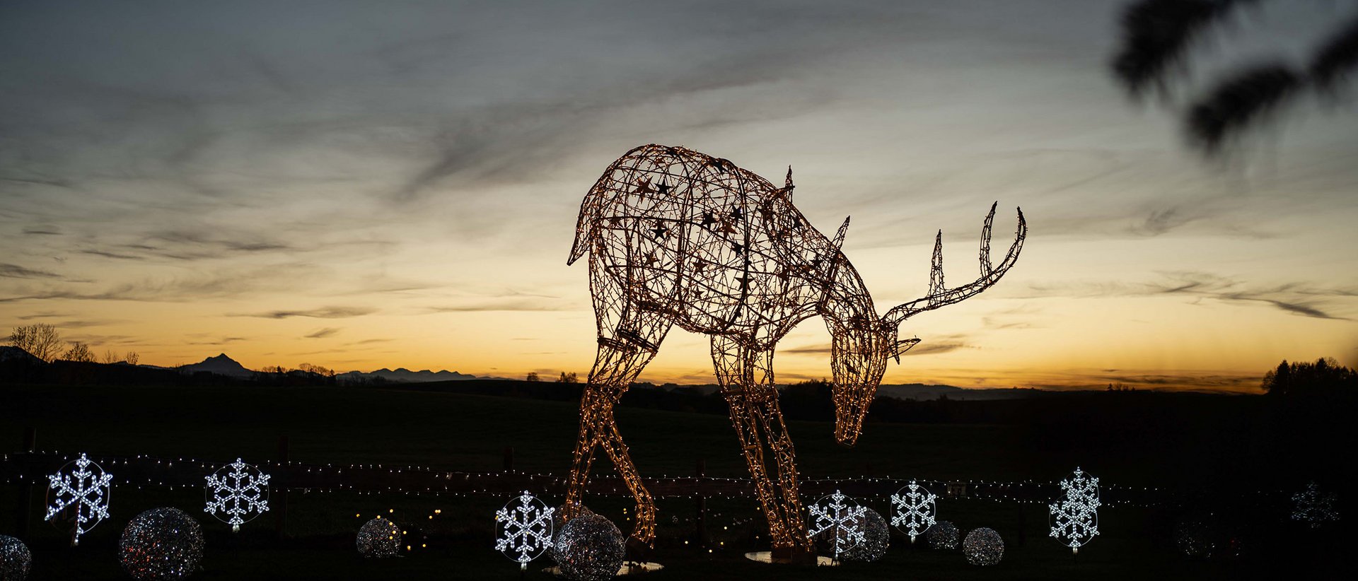 Lichterzauber im Weitblick Allgäu Lichterzauber im Weitblick Allgäu